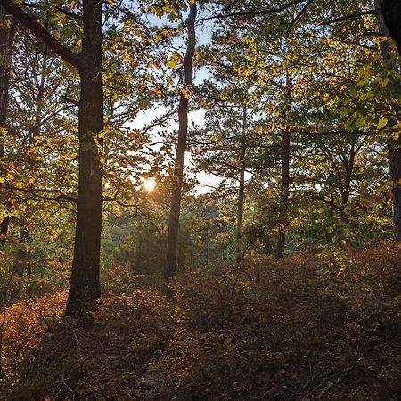 Loblolly Pines Adventure Cabin 3 - King Eureka Springs Dış mekan fotoğraf
