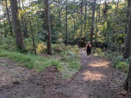 Loblolly Pines Adventure Cabin 3 - King Eureka Springs Dış mekan fotoğraf