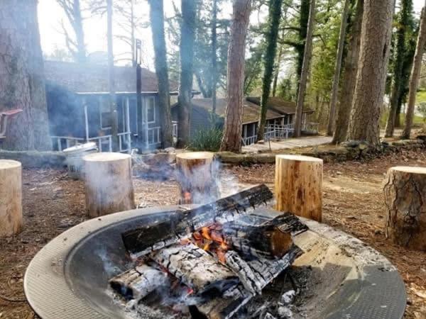 Loblolly Pines Adventure Cabin 3 - King Eureka Springs Dış mekan fotoğraf