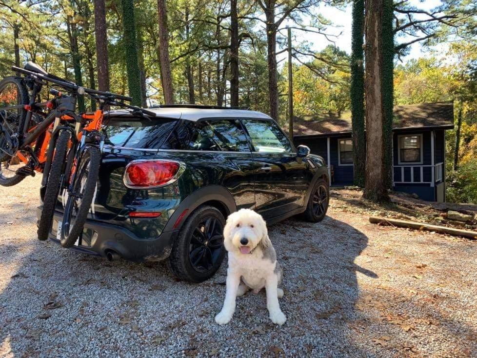 Loblolly Pines Adventure Cabin 3 - King Eureka Springs Dış mekan fotoğraf